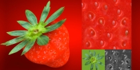 草莓贴图 Strawberry texture