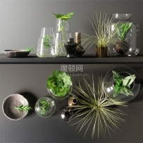 C4D模型-花瓶模型小绿植模型小盆栽模型