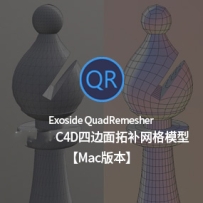 重拓扑插件 Exoside QuadRemesher v1.1 for Cinema 4D（英文原版）重拓补 支持C4D R22