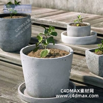 C4DOC工程-写实植物工程写实植物模型盆栽模型