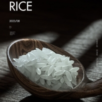 OC工程-米粒模型米饭渲染大米饭模型米模型产品渲染