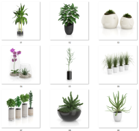 E102 30款室内植物模型Plants-1