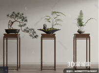 新中式 盆景 绿植盆栽 松树盆栽 边几角几 花几3D模型