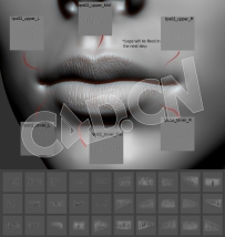 27张人物嘴唇细节纹理深度贴图素材 Artstation – Lips Detail Alpha Pack