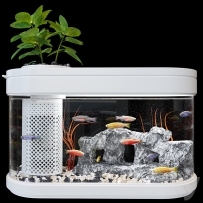 现代 鱼缸 小鱼缸 景观鱼缸 水景 观赏鱼缸3D模型