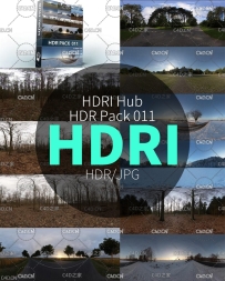 树林 雪地景观HDRI环境贴图 HDRI Hub – HDR Pack 011