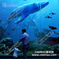 C4DOC工程-水族馆场景工程鲨鱼模型儿子爸爸工程