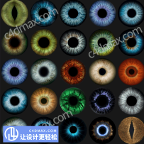 ActionVFX – 27 Eye Textures27幅人物动物眼球虹膜贴图素材