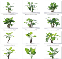 E108 多种盆景植物模型可自由搭配