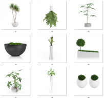 E103 31款植物模型Plants-2