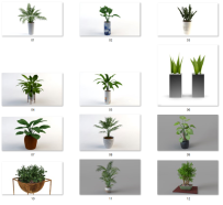 E107 12款盆栽植物模型