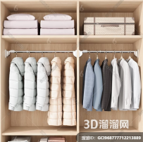 现代 衣柜3D模型ID DCI991497712213889