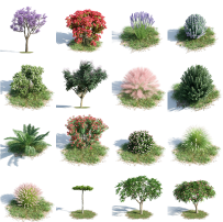 C4D花草植物模型果树写实草丛狗尾巴草薰衣草森林绿植素材3D文件